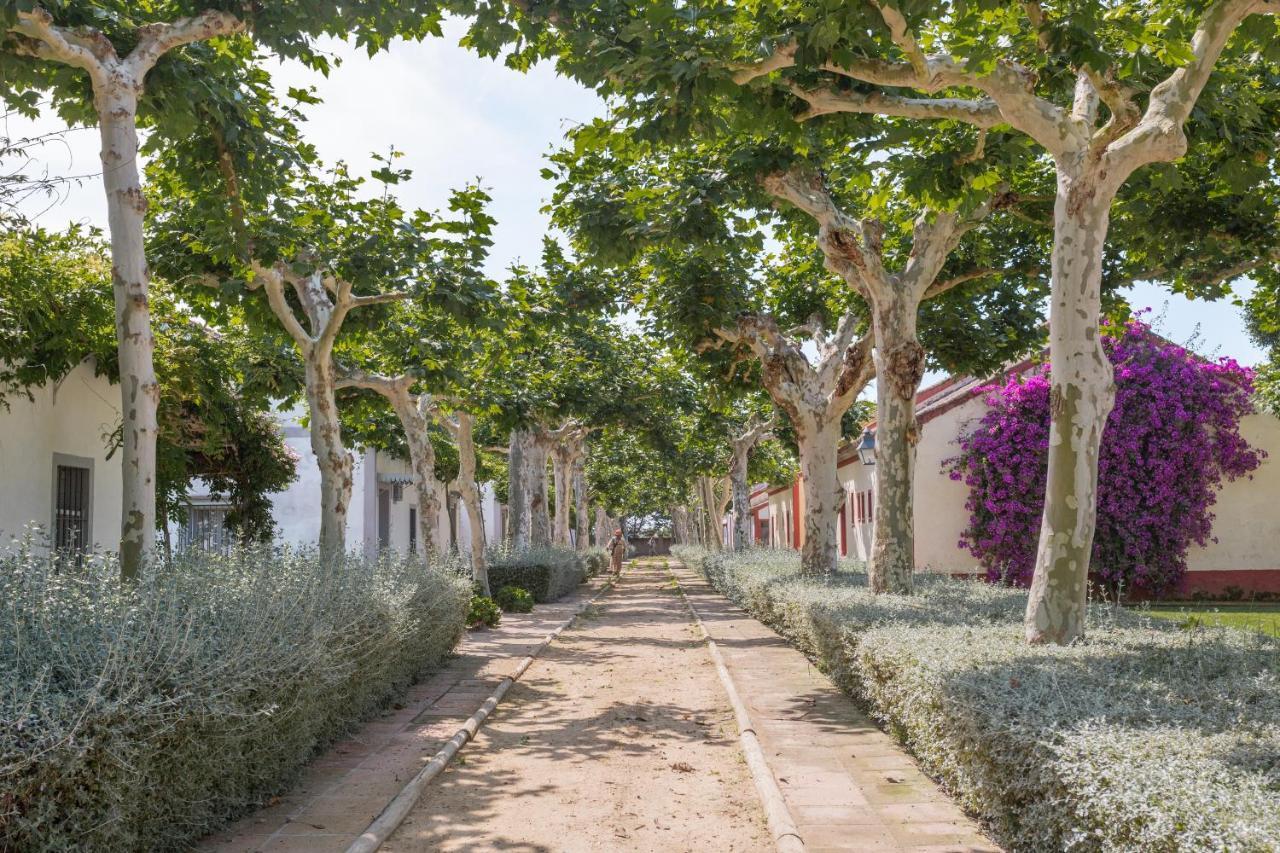 El Cortijo De Los Mimbrales เอลโรซิโอ ภายนอก รูปภาพ